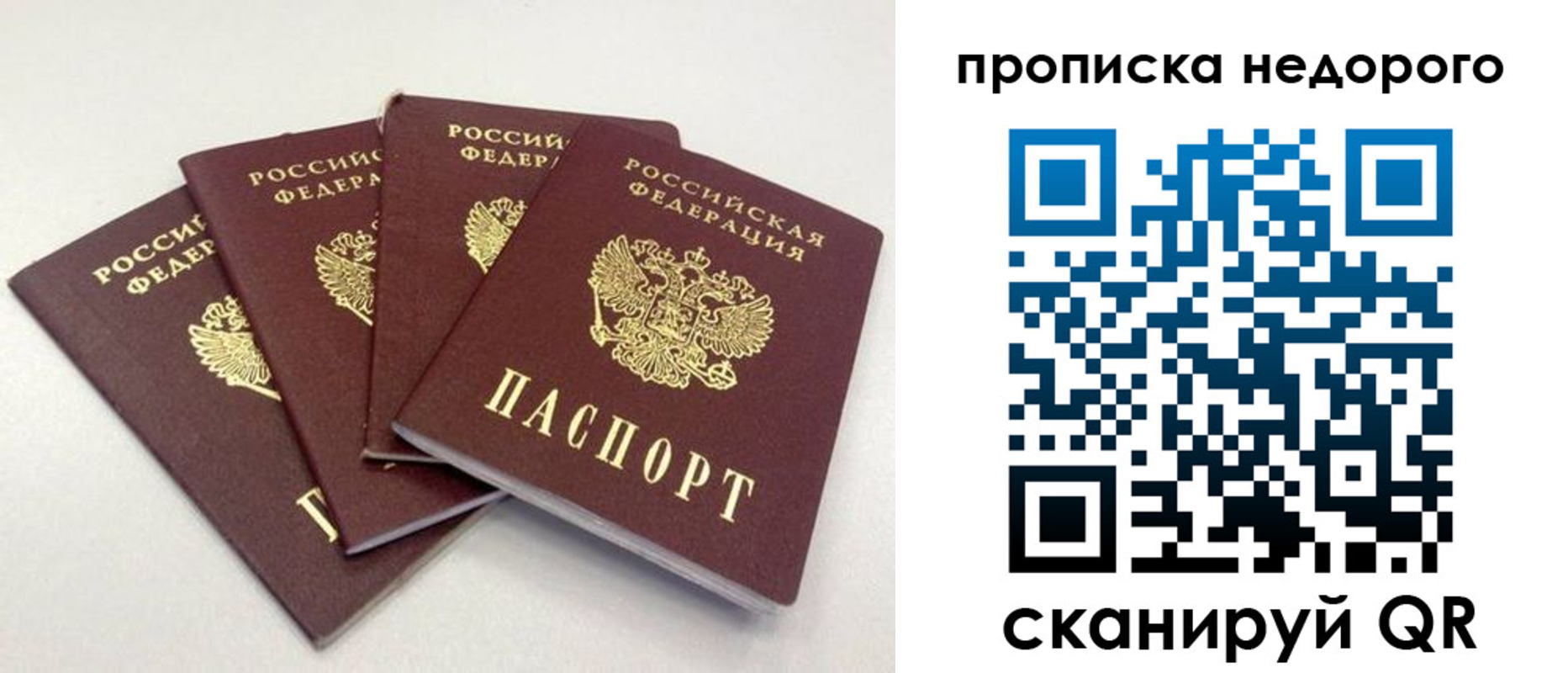 прописка законно в Кирсанове